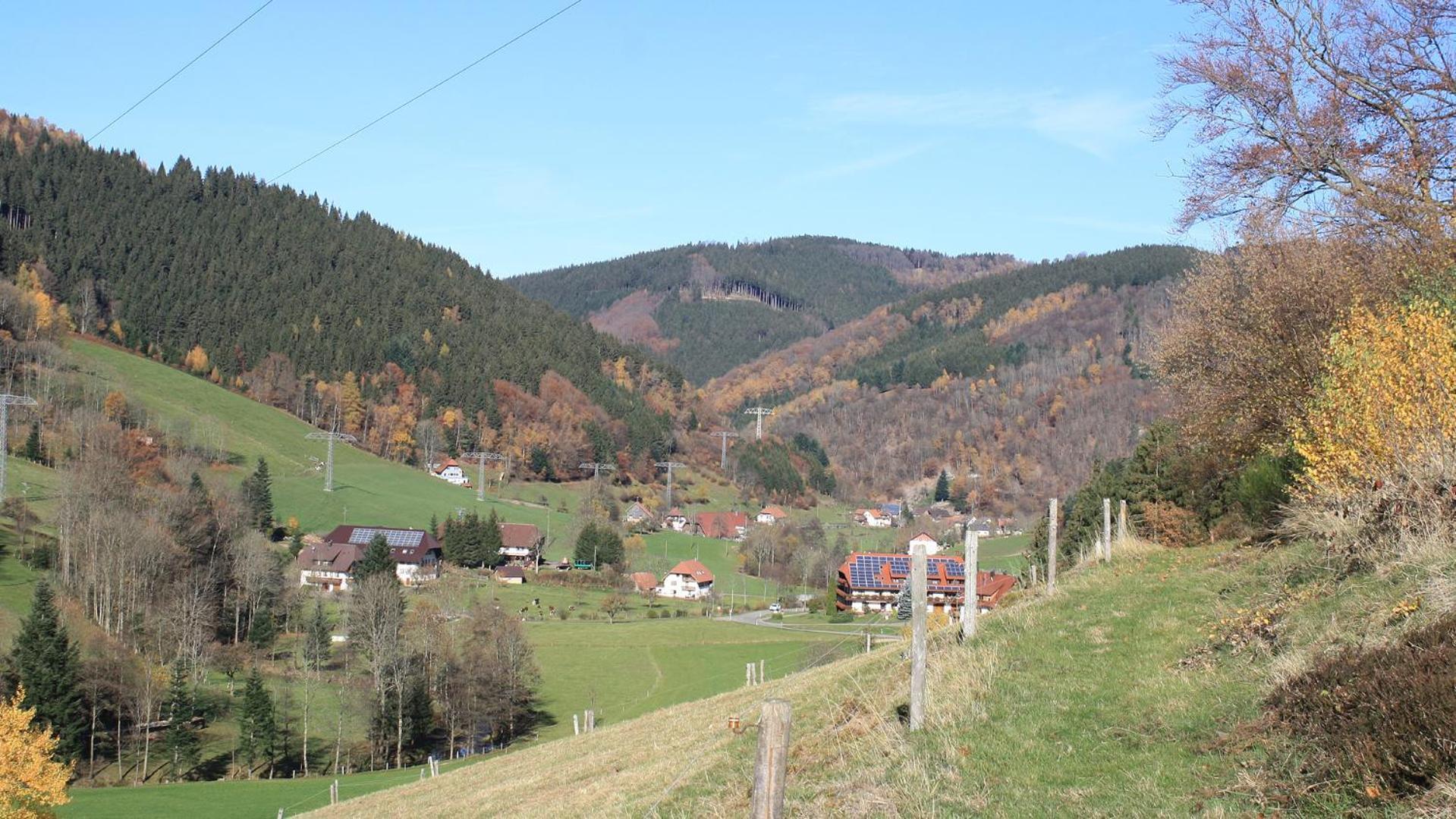 Grundhof Villa Oberprechtal Екстериор снимка