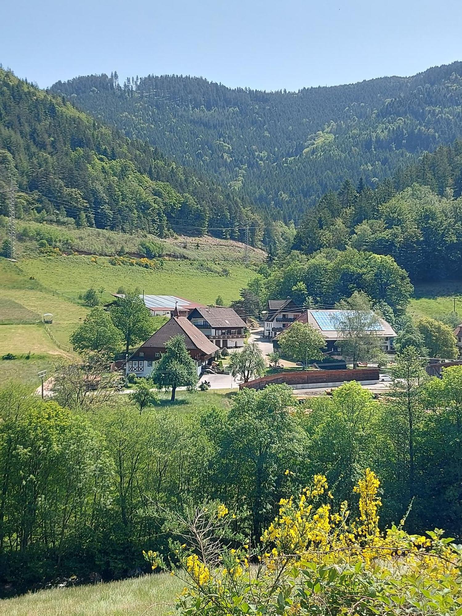 Grundhof Villa Oberprechtal Екстериор снимка