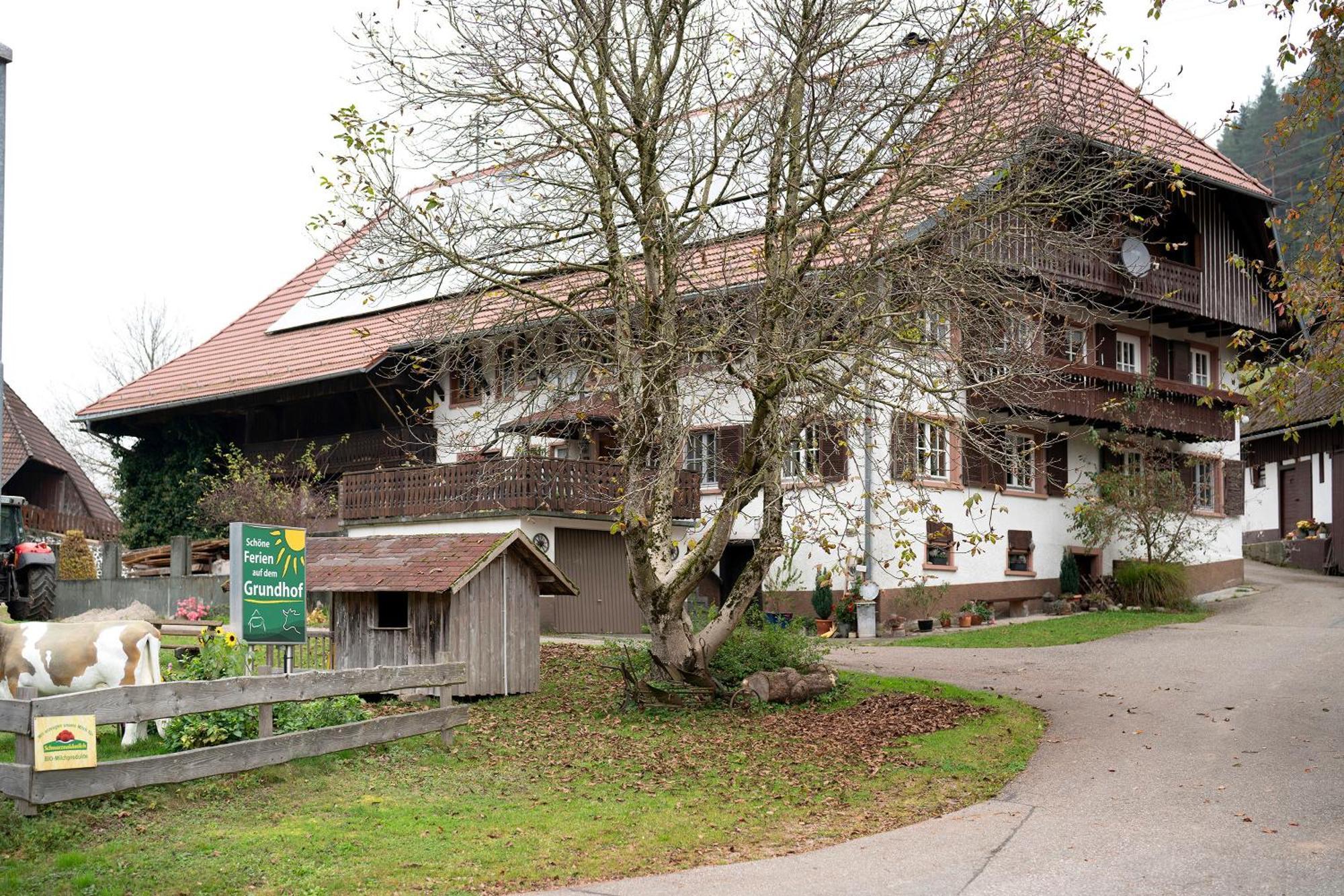 Grundhof Villa Oberprechtal Екстериор снимка